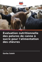 Évaluation nutritionnelle des pelures de canne à sucre pour l'alimentation des chèvres (French Edition) 6207173929 Book Cover