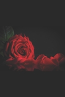 A Rose For Maria and A Summer In Naples 1071330535 Book Cover