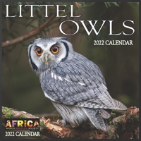 Little Owls CALENDAR 2022: 12 Month Mini Calendar from Jan 2022 to Dec 2022, Cute Gift Idea | Pictures in Every Month B096TW967B Book Cover