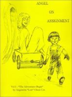 Angel on Assignment: Volume 1: The Adventures Begin 0759633142 Book Cover