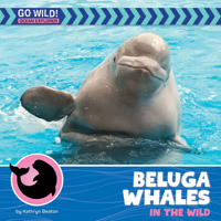 Beluga Whales in the Wild (21st Century Beginning Library: Go Wild! Ocean Explorer) 1668974126 Book Cover