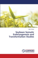 Soybean Somatic Embryogenesis and Transformation Studies 620320210X Book Cover