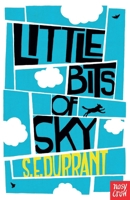 Little Bits of Sky 0857633996 Book Cover