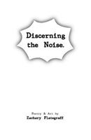 Discerning the Noise 1456310429 Book Cover