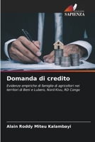 Domanda di credito (Italian Edition) 6206956024 Book Cover