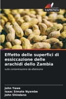 Effetto delle superfici di essiccazione delle arachidi dello Zambia: sulla contaminazione da aflatossine 6205711001 Book Cover