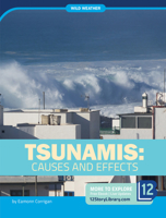 Tsunamis: Causes and Effects 1645821927 Book Cover