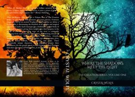 Where the Shadows Meet the Light 0692180524 Book Cover