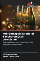 Microincapsulazione di Saccharomyces cerevisiae: Potenziamento dell'attività antiossidante nella produzione di vino spumante (Italian Edition) 6208707684 Book Cover