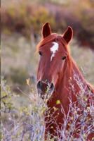 Kids Equine Journal 0464704219 Book Cover