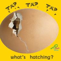 Tap, Tap, Tap, What's Hatching? 1604724307 Book Cover