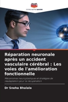 Réparation neuronale après un accident vasculaire cérébral: Les voies de l'amélioration fonctionnelle (French Edition) 6209521967 Book Cover