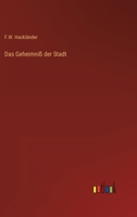 Das Geheimnis Der Stadt 3368251996 Book Cover