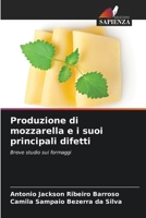 Produzione di mozzarella e i suoi principali difetti: Breve studio sui formaggi (Italian Edition) 6206831043 Book Cover