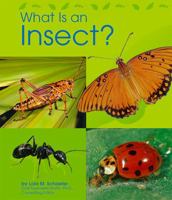 What Is an Insect? (Animal Kingdom) 0736890955 Book Cover