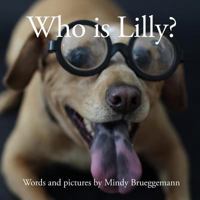 Who Is Lilly? 0985567619 Book Cover