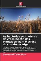 As bactérias promotoras do crescimento das plantas aliviam o stress do crómio no trigo (Portuguese Edition) 6208126142 Book Cover