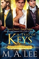 A Trio of Keys (Hearts in Hazard) B0H3GVJ3LM Book Cover
