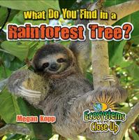 What Do You Find in a Rainforest Tree? 0778722813 Book Cover
