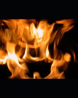 Un Modelo en la Familia: Volumen 4 B0CKZ8X38Q Book Cover