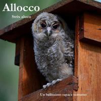 Allocco: Strix Aluco (La voliera senza sbarre) 1983175331 Book Cover