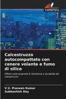 Calcestruzzo autocompattato con cenere volante e fumo di silice (Italian Edition) 6207954122 Book Cover