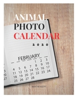 Animal Photo Calendar 2020: ANIMAL PHOTOGRAPH CALENDAR: animal calendar 202 animal desk calendar 202, animal photo album, animal photo wall art, animal photograph, animal photography book, animal wall 1678587699 Book Cover