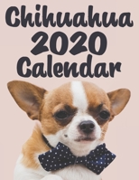 Chihuahua Calendar 2020 - Dogs & Puppies - 12 Month Calendar: Monthly Wall or Desk Calendar for Chihuahua Breed Fans - Funny Quotes & Pictures 1679892215 Book Cover