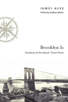 Brooklyn Is: Southeast of the Island: Travel Notes 0823224929 Book Cover