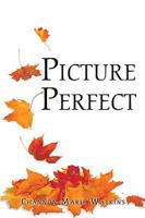 Picture Perfect 1543445705 Book Cover