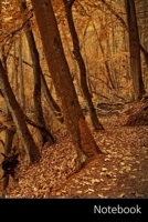 Notebook: Foresta, Alberi, Fiume, Fiume Paesaggio taccuino / agenda / quaderno delle annotazioni / diario / libro di scrittura / carnet / zibaldone - 6 x 9 pollici (15,24 x 22,86 cm), 110 pagine, supe 1704884942 Book Cover