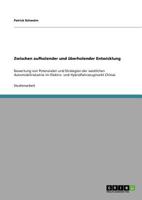 Potenziale und Strategie der westlichen Automobilindustrie im Elektro- und Hybridfahrzeugmarkt Chinas: Zwischen aufholender und �berholender Entwicklung 3640772172 Book Cover