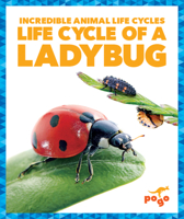 Life Cycle of a Ladybug 1624968198 Book Cover