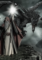 CUADERNO DE ROL: LIBRO PARA JUEGOS RPG O JDR (PAPEL CUADRICULADO, LINEADO Y HEXAGONAL) PARA LA CREACIÓN Y DISEÑO DE PERSONAJES, MAPAS, DIBUJOS Y CAMPAÑAS |  PORTADA DRAGÓN Y MAGO. (Spanish Edition) 1696462789 Book Cover