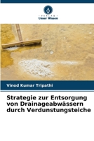 Strategie zur Entsorgung von Drainageabwässern durch Verdunstungsteiche (German Edition) 6202498080 Book Cover