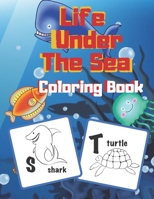 Life Under The Sea: For Kids Ages 2-4 4-6 Lern About Sea Creatures Supre Fun With Dolphins Sharks Octopus And More B08D4SJX6S Book Cover