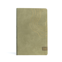CSB (in)courage Devotional Bible, Sage LeatherTouch, Indexed 1430082542 Book Cover
