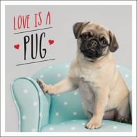 Love is a Pug: A Pugtastic Celebration of The World's Cutest Dogs 1786855135 Book Cover