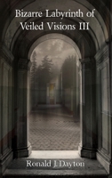 Bizarre Labyrinth of Veiled Visions III 1794839909 Book Cover