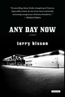 Any Day Now 1590207092 Book Cover