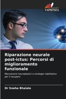 Riparazione neurale post-ictus: Percorsi di miglioramento funzionale (Italian Edition) 6209534767 Book Cover