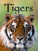 Tigers 1409530671 Book Cover