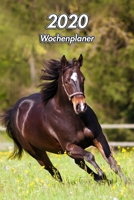 2020 Wochenplaner: American Quarter Horse - Pferdesport - 129 Seiten, 15cm x 23cm ca. A5 - Taschenkalender - Terminplaner - Tagebuch - Terminkalender - Organizer f�r Pferdeliebhaber 1677670452 Book Cover