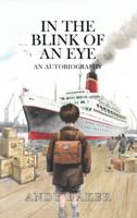 In the Blink of an Eye 1035894696 Book Cover