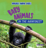 Baby Animals in the Rainforest 1499453590 Book Cover