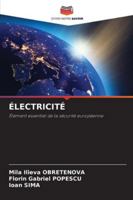 Électricité (French Edition) 6203897663 Book Cover