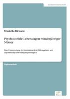 Psychosoziale Lebenslagen Minderjahriger Mutter 3838643933 Book Cover
