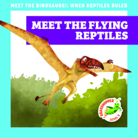 Meet the Flying Reptiles 1636906060 Book Cover