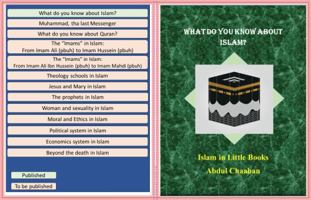 What do you know about Islam?: A Logical Guide to Meta-Religion and Cause-Effect: Connecting Torah, Bible, and Quran | Islam in Little Books Vol. 1 1971614017 Book Cover