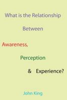 What is the Relationship Between Awareness, Perception & Experience? 1907962336 Book Cover